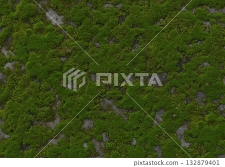 Green moss growing on old gray stone wall creating beautiful natural texture background 132879401