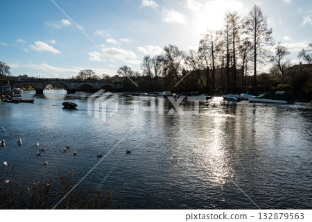 Boats and seagulls floating on the River Thames under the bright winter sunshine, with a stone bridge visible in the distance, in Richmond, a suburb of London 132879563