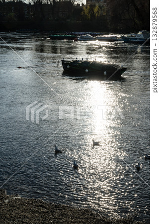 Seagulls resting on the surface of the River Thames, reflecting the bright winter sunshine, in Richmond, a suburb of London Seagulls resting on the surface of the River Thames, reflecting the bright winter sunshine, in Richmond, a suburb of London 132879568
