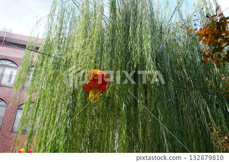 Potted plant with red scarf Potted plant with red scarf 132879810