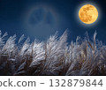 潘帕斯草原和月亮 132879844