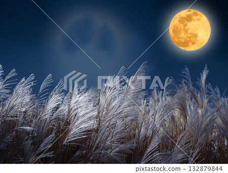 潘帕斯草原和月亮 132879844