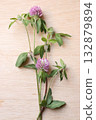 Photo of red clover placed on a board 132879894