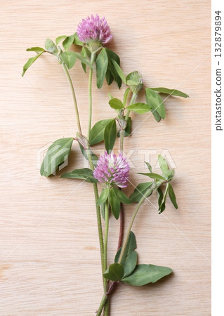 照片：一塊木板上擺放著紅色三葉草 132879894