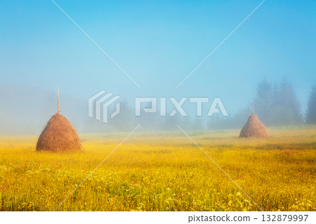 Fantastic morning scene Fantastic morning scene 132879997