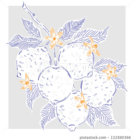 hand drawn fruit background with tropical fruits hand drawn fruit background with tropical fruits 132880366