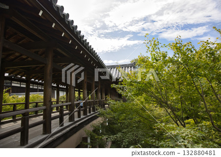 Tofukuji Temple - Tsutenkyo Bridge illuminated by the gentle morning sunlight 1 Tofukuji Temple - Tsutenkyo Bridge illuminated by the gentle morning sunlight 1 132880481