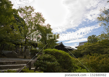 Tofukuji Temple - Tsutenkyo Bridge and Tsuten Maple Trees as seen from Sengyokukan 1 Tofukuji Temple - Tsutenkyo Bridge and Tsuten Maple Trees as seen from Sengyokukan 1 132880482