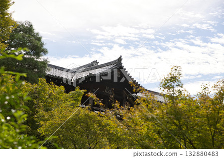 從仙玉館看到的東福寺 - 通天橋和通天楓樹 132880483