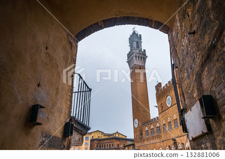 Torre del Mangia View 132881006