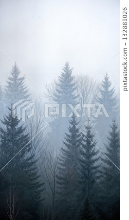 Foggy Winter Forest with Atmospheric Layers of Evergreen Trees Fading into Mist and Mysterious Light 132881026