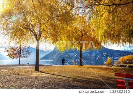 Enjoy autumn (autumn leaf color) in park of Switserland (Lugano or Lausanne or Zeneve or Bern or Zurich or Luzern or Basel Or Locarno Enjoy autumn (autumn leaf color) in park of Switserland (Lugano or Lausanne or Zeneve or Bern or Zurich or Luzern or Basel Or Locarno 132882110