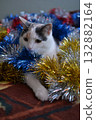 Cat playing with Christmas decorations 132882164
