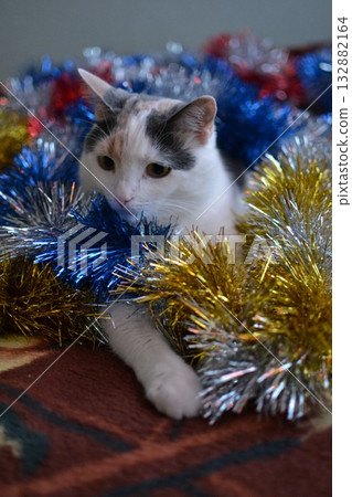 Cat playing with Christmas decorations Cat playing with Christmas decorations 132882164