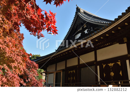 Autumn at the Golden Hall of Ninnaji Temple (Ukyo Ward, Kyoto City) 132882212