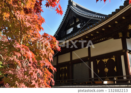 Autumn at the Golden Hall of Ninnaji Temple (Ukyo Ward, Kyoto City) 132882213