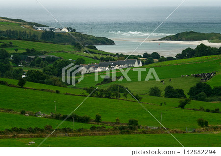 Green fields slope down to a sandy beach and the ocean in West Cork, Ireland. Several houses sit in the green landscape. Cattle graze in a field. Green fields slope down to a sandy beach and the ocean in West Cork, Ireland. Several houses sit in the green landscape. Cattle graze in a field. 132882294