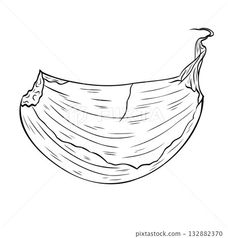 Monochrome botanical fragrant spice drawing of garlic cloveplant isolated on white background. Graphic hand drawn ink vector Monochrome botanical fragrant spice drawing of garlic cloveplant isolated on white background. Graphic hand drawn ink vector 132882370