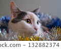 White cat lying in New Year's tinsel 132882374