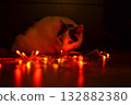 White cat and red garland 132882380