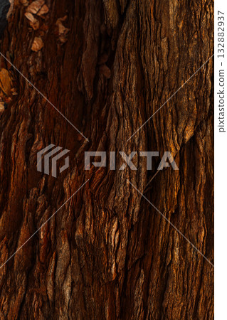 Vertical macro of rugged stone layers and crevices Vertical macro of rugged stone layers and crevices 132882937