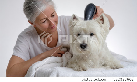 Stylish pet grooming concept with soft textures, white fur, and bright light perfect for editorial and product marketing 132883602