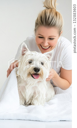 West Highland White Terrier grooming scene with professional blow-drying, commercial-ready image for pet salon promotion 132883603