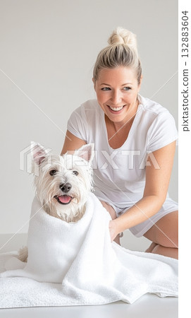 Freshly bathed Westie being blow-dried with a towel, clean bright studio setting ideal for pet care advertising and branding 132883604