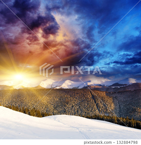 Winter Winter 132884798