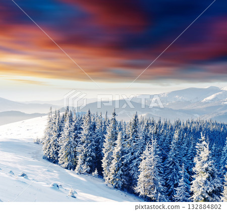 Winter Winter 132884802