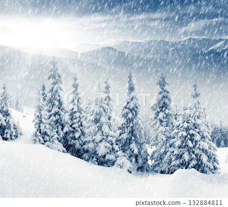 Winter Winter 132884811