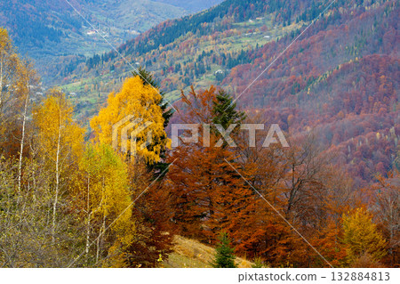 autumn autumn 132884813