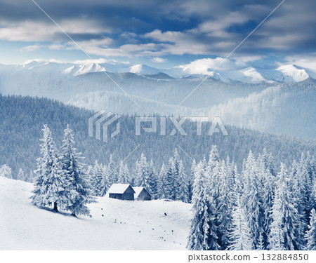 Winter Winter 132884850