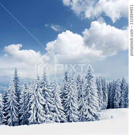 Winter Winter 132884851