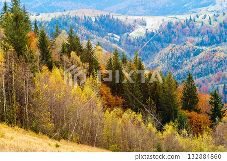 autumn autumn 132884860