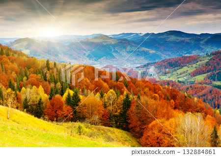 autumn 132884861