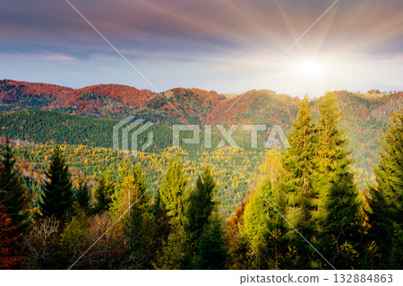 autumn autumn 132884863