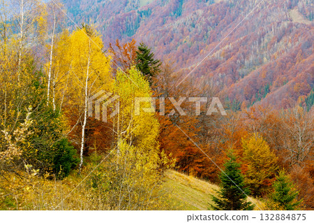 autumn autumn 132884875