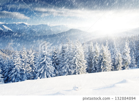 Winter 132884894