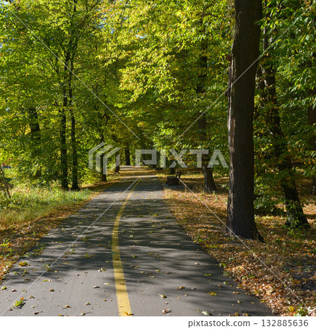 Multi-use asphalt trail in park surrounded by trees, autumn foliage and benches for rest. Multi-use asphalt trail in park surrounded by trees, autumn foliage and benches for rest. 132885636