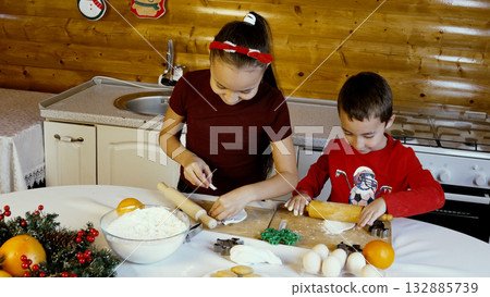 The woman and child are baking Christmas cookies together in the kitchen 132885739