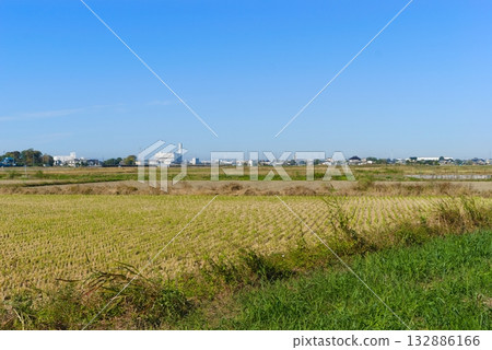 Scenery along the Nakagawa River in Saitama Prefecture, November 2025 Scenery along the Nakagawa River in Saitama Prefecture, November 2025 132886166