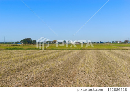 Scenery of Matsubushi, Saitama Prefecture, November 2025 132886318