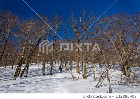 Climbers heading from Hatomachi Pass to Mount Shibutsu with snow remaining 132886402