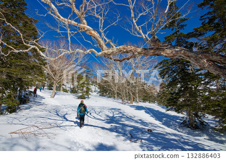 Climbers heading from Hatomachi Pass to Mount Shibutsu with snow remaining Climbers heading from Hatomachi Pass to Mount Shibutsu with snow remaining 132886403