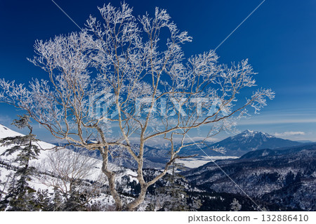 從鳩町峠到紫佛山的途中,可以看到日內岳和霜凍。 從鳩町峠到紫佛山的途中,可以看到日內岳和霜凍。 132886410