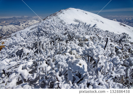 The frost-covered trees of Mt. Koshibutsu and the summit of Mt. Shibutsu during the remaining snow season 132886438