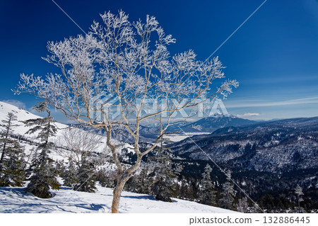 從鳩町峠到紫佛山的途中,可以看到日內岳和霜凍。 從鳩町峠到紫佛山的途中,可以看到日內岳和霜凍。 132886445