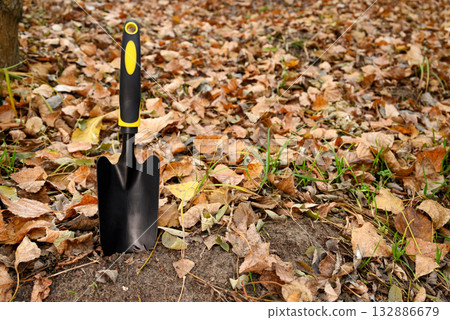 a black gardening trowel stands in the soil against a carpet of yellow and orange fallen leaves 132886679