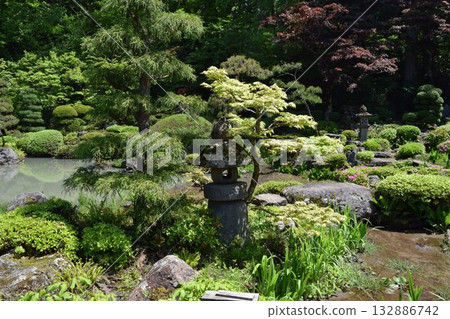 美麗的日本庭園 132886742